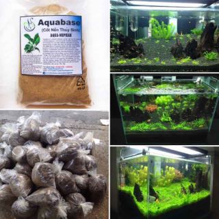 Cốt nền dành cho thủy sinh