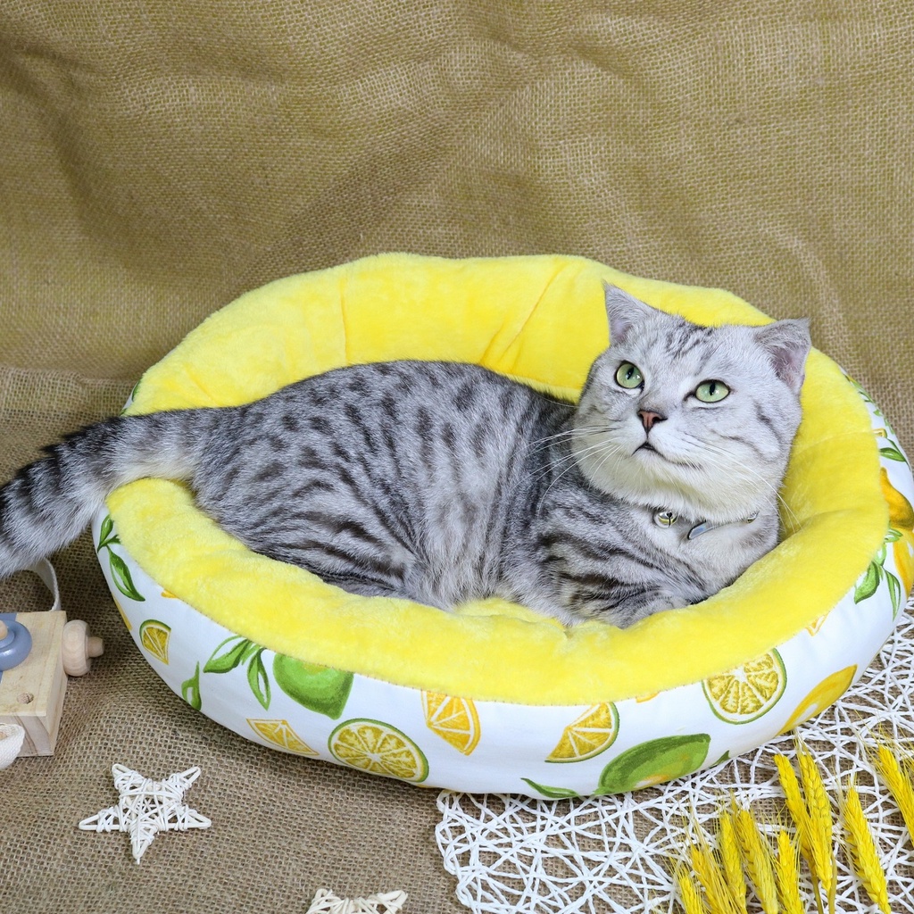 [Ảnh thật] Nệm bông họa tiết trái cây - con voi cho chó mèo dưới 6kg