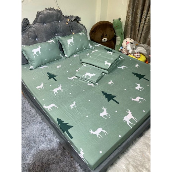 Bộ chăn hè trần bông ga gối 5 món poly cotton Hàn Quốc hàng loại 1