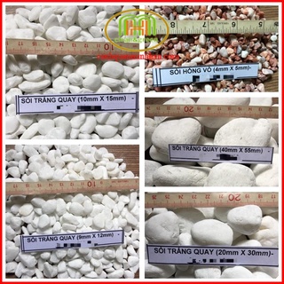 Sỏi trắng tiểu cảnh trang trí bể cá hồ cá trang trí chậu cây lót đường đi 1kg Minh Hân Garden