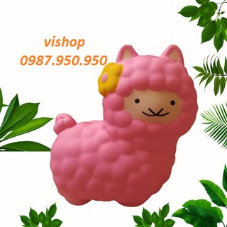 SquiShy CON CỪU