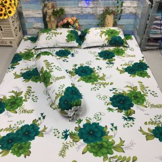 Drap thun hàn quốc