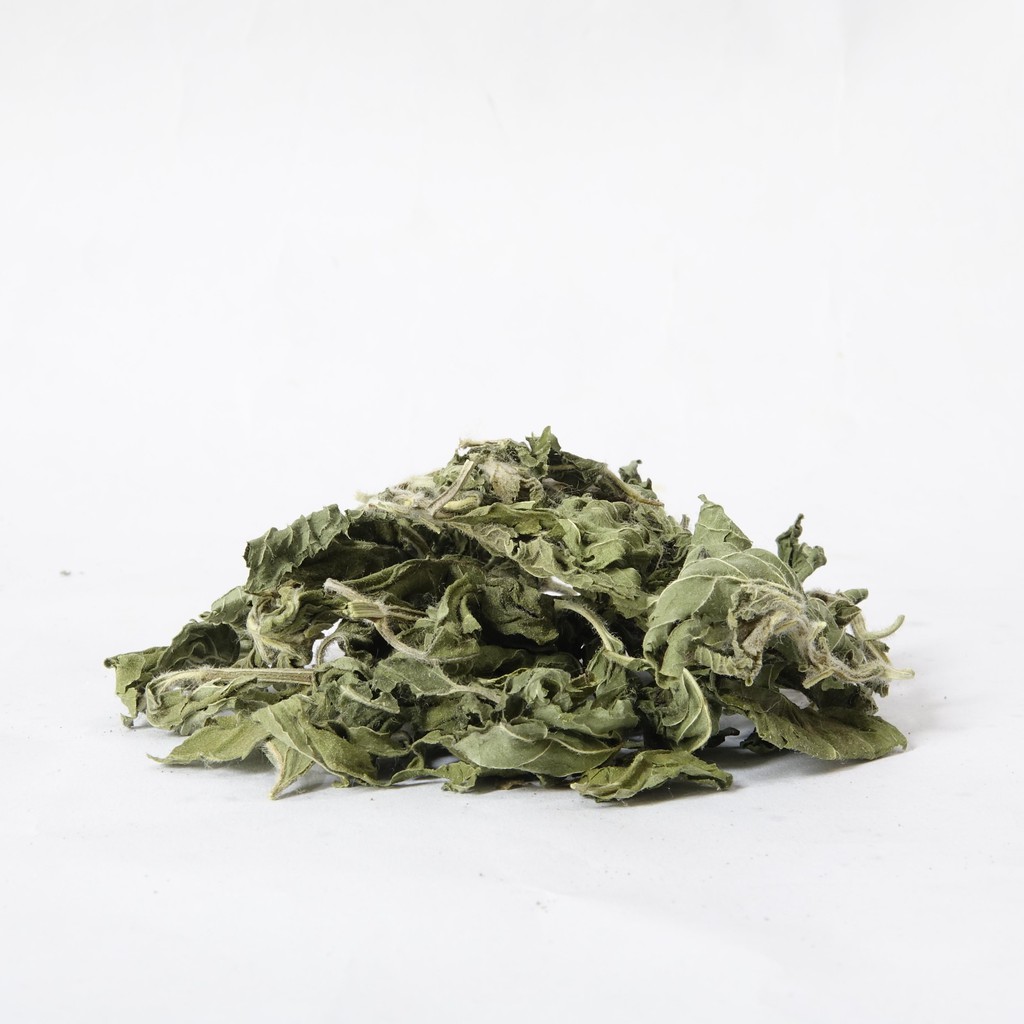 [QUÀ TẶNG] Túi trà dùng thử 10gr vị ngẫu nhiên | BigBuy360 - bigbuy360.vn