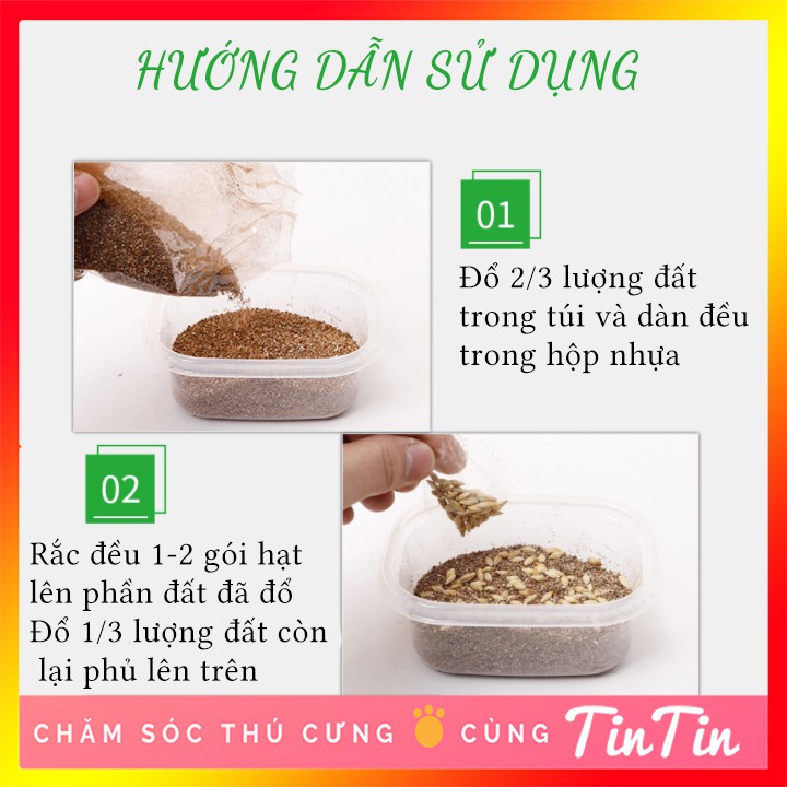 Bộ Hạt Giống Kèm Dụng Cụ Trồng Cỏ Mèo