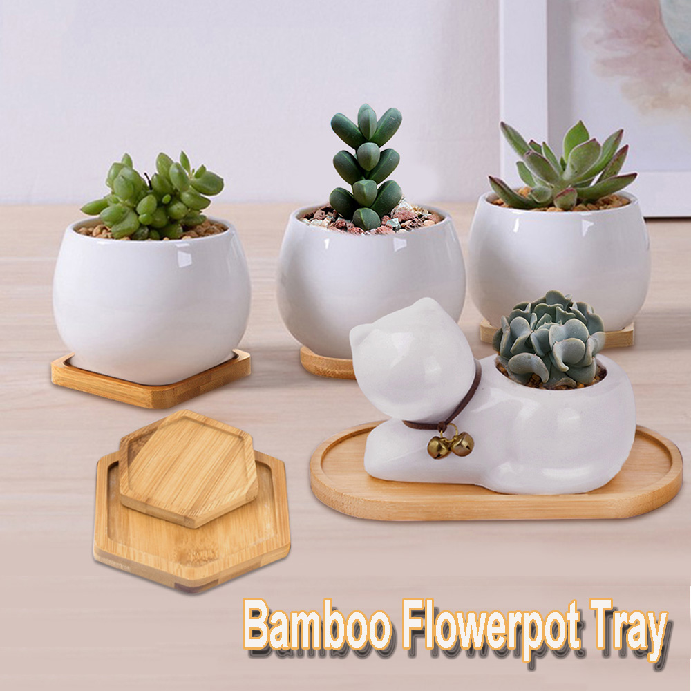 Khay Gỗ Trồng Cây Kiểu Dáng Đơn Giản Tiện Dụng