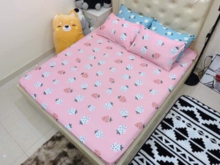 Sét 3 món ga chun cà 2 vỏ gối cottong poly