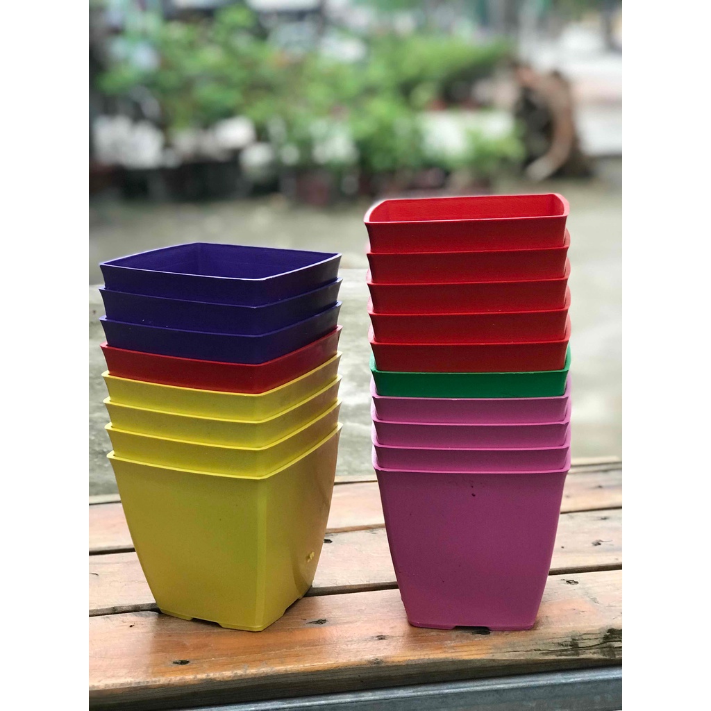 10 CHẬU NHỰA V12 MÀU BẤT KÌ- CHẬU BỀN ĐẸP BỀN
