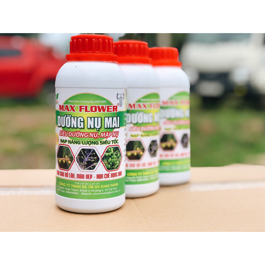 PHÂN BÓN MAI VÀNG - MAX FLOWER DƯỠNG NỤ MAI CHAI 500ML - MẬP NỤ, DÀY CÁNH, HOA TO ,LÊN MÀU ĐẸP