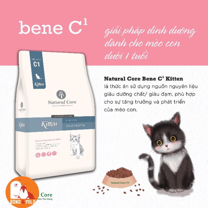THỨC ĂN MÈO HẠT NATURAL CORE C1 BENE KITTEN VỊ GÀ & CÁ HỒI BAO 2KG