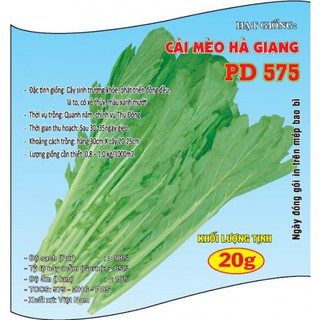 HẠT GIỐNG CẢI MÈO HÀ GIANG (20g)