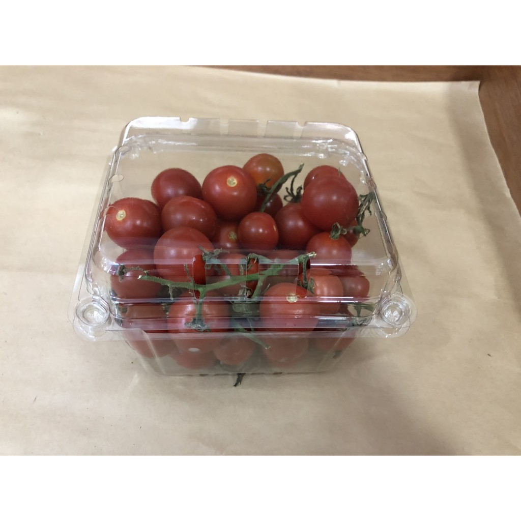 [Bộ 30 hộp nhựa 500g] đựng trái cây, rau củ quả, thực phẩm, trong suốt, an toàn cho sức khỏe, tiện lợi, giá rất tốt