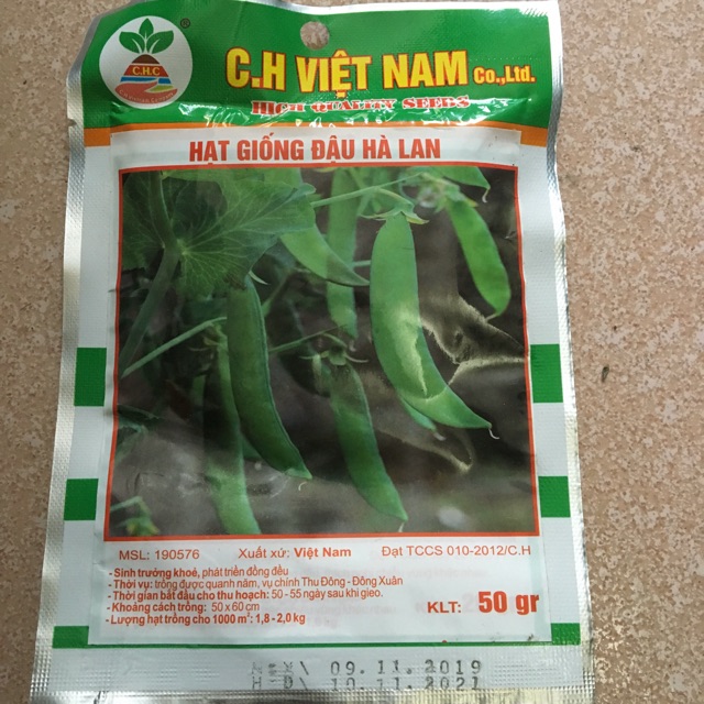 HẠT GIỐNG ĐẬU HÀ LAN