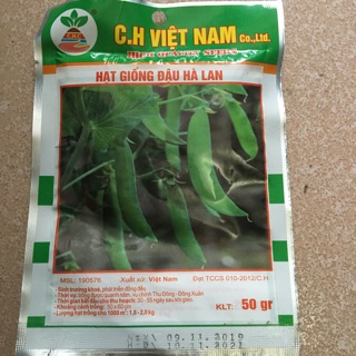 HẠT GIỐNG ĐẬU HÀ LAN