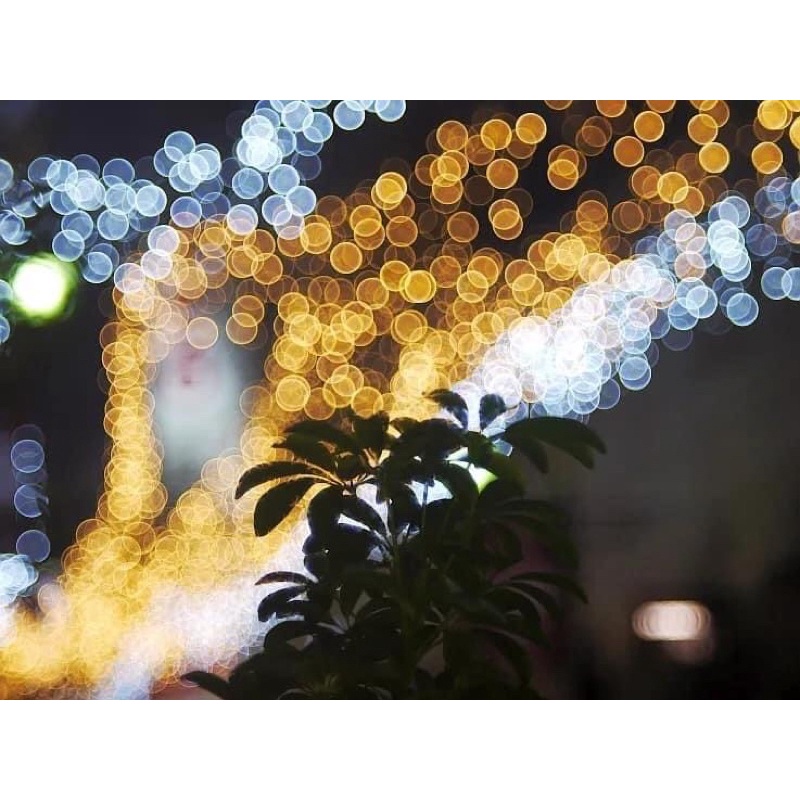 Ống kính MF fujinon 55/2.2 ngàm M42