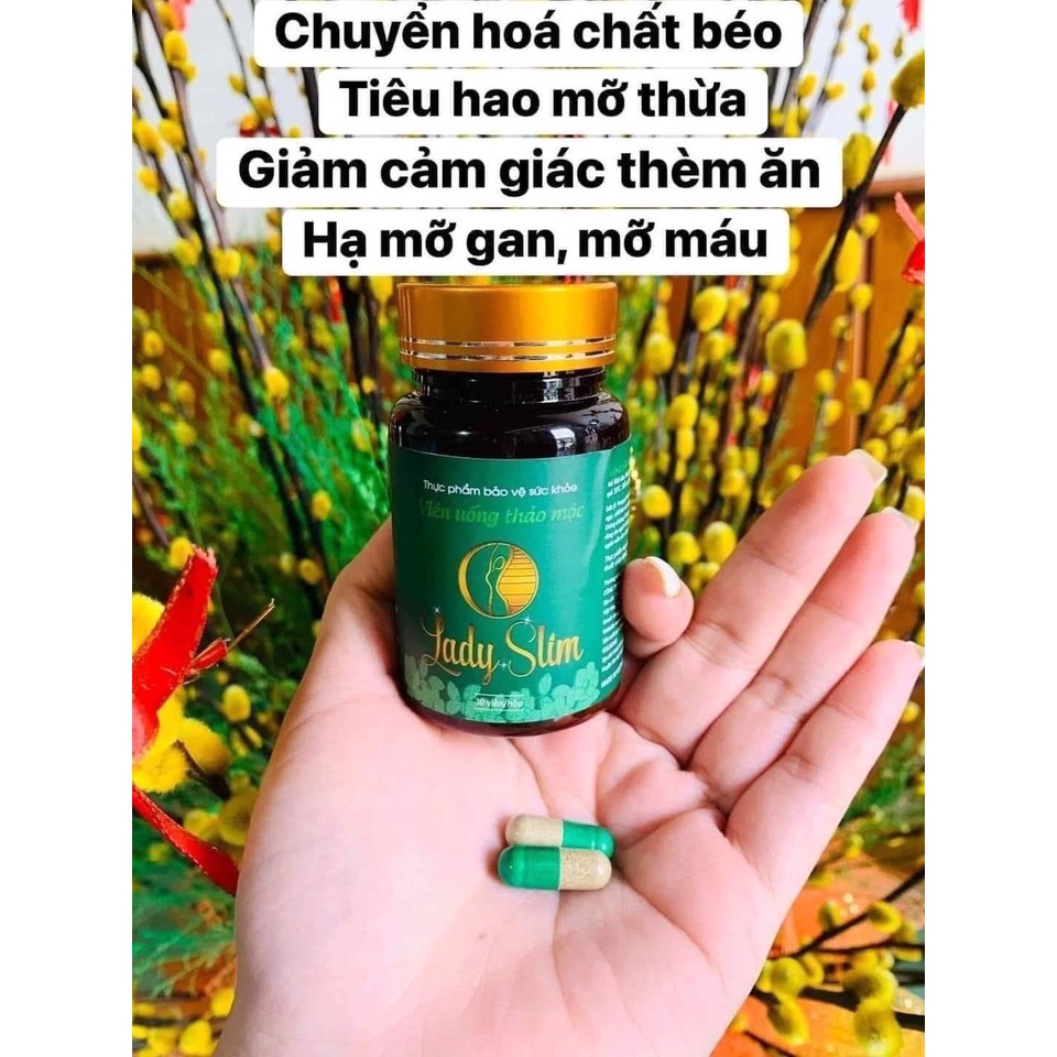 𝗧𝗵𝘂𝗼̂́𝗰 Giảm Cân Thảo Dược Đông Y Lan Chi