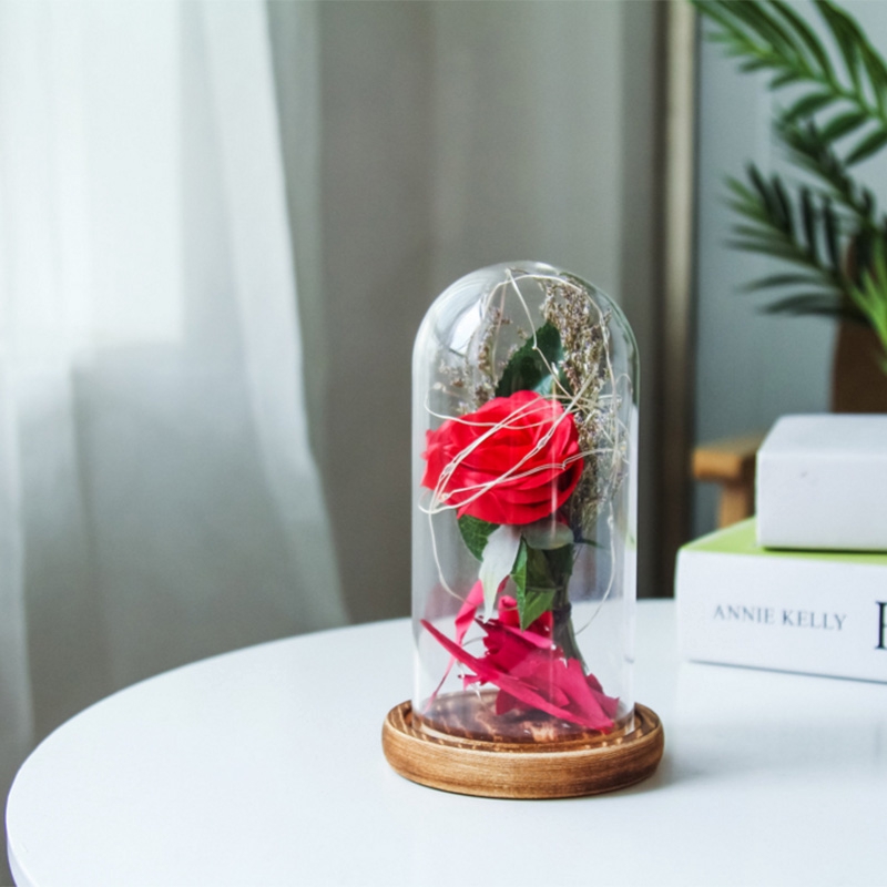 Hoa hồng đỏ trong lồng thủy tinh có đèn LED trang trí Giáng sinh cho ngày lễ tình nhân độc đáo