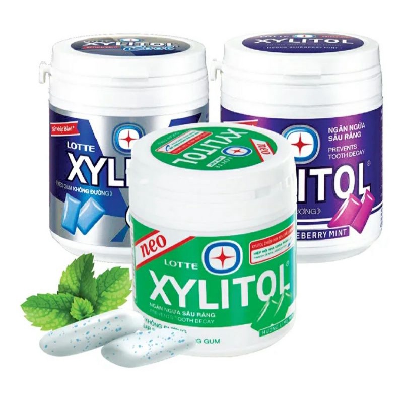 Kẹo gum Xylitol không đường hũ 58g các vị