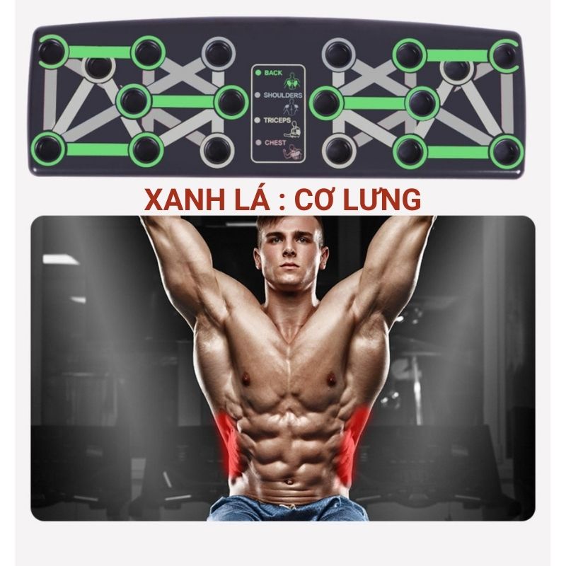 Dụng cụ chống đẩy hít đất đa năng, bộ tập gym tại nhà