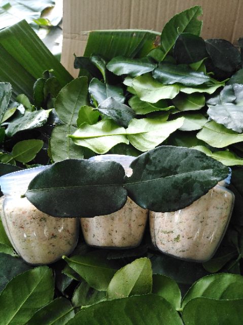 Lá chanh thái. 100g lá chúc 20k | BigBuy360 - bigbuy360.vn