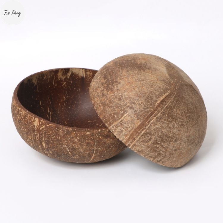 Bát Gáo Dừa, Chén Gáo dừa, Muỗng dừa decor TINHHOAVIET.