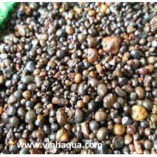 Sỏi Suối Nâu Tự Nhiên - Trang Trí Hồ Thuỷ Sinh, Tiểu Cảnh 1kg