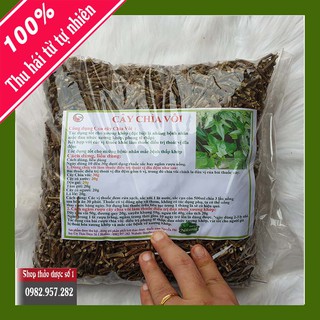 câchìa vôi điều trị thoát vị đĩa đệm, thoái hóa cột sống - 1KG CTY Thảo Dược Số 1