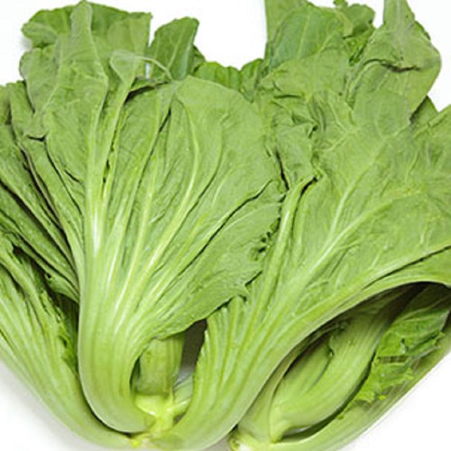Gói 1KG Hạt giống rau Cải Bẹ Dưa Đông Dư cao sản_Cải Bẹ Dưa New Zealand