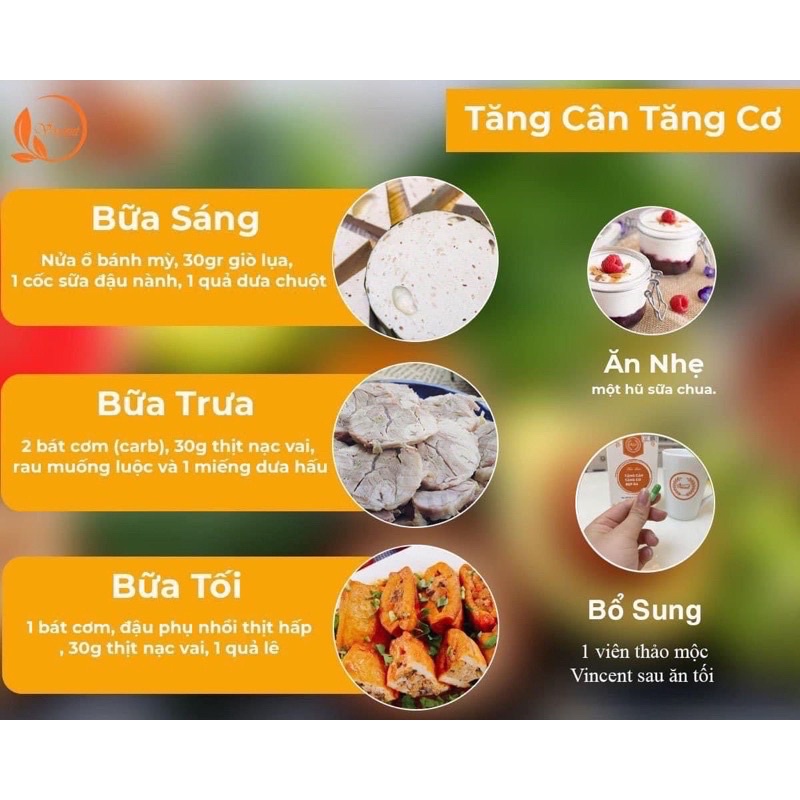 Thảo mộc Tăng cân Vincent dành cho cơ địa gầy lâu năm.