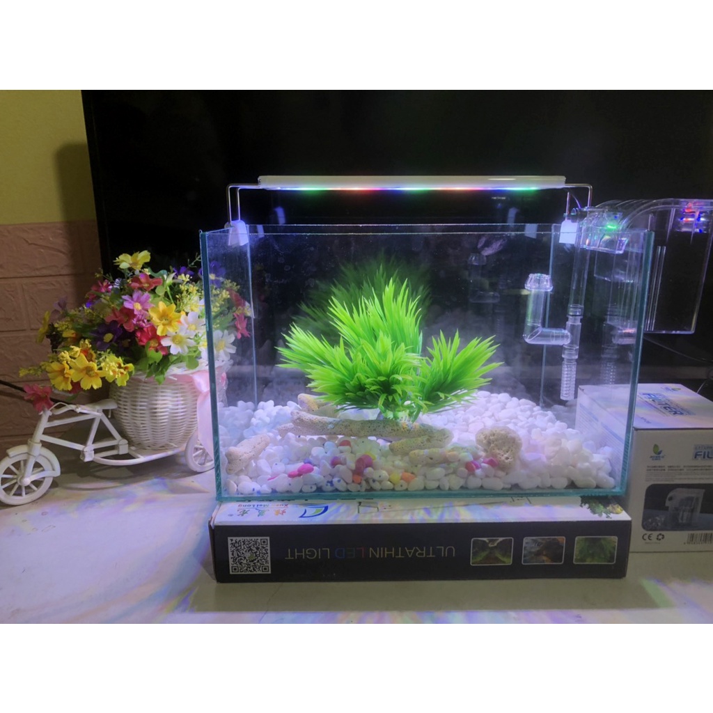 Hồ cá, bể cá cảnh thủy sinh FULL COMBO 6 món phụ kiện D32 R20 H20