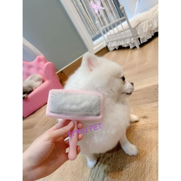 Lược hãng Golpet gỡ rối đánh bông lông chuẩn spa cho chó mèo - OmonPet
