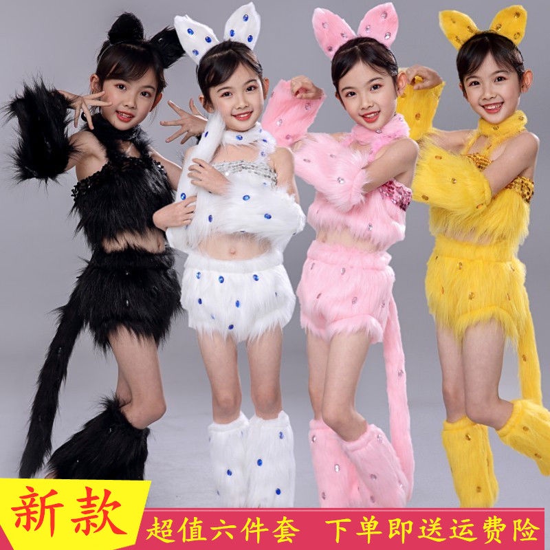 Động vật trẻ em trang phục biểu diễn mèo con mèo Ba Tư học mèo để gọi trang phục biểu diễn sân khấu Trẻ mới biết đi múa mèo hoa dễ thương