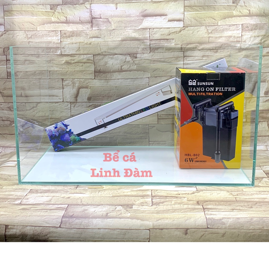 Bể cá kính siêu trong dài 60cm mài full vi tính, dán giấu keo đẹp - Bể cá cảnh thủy sinh để bàn