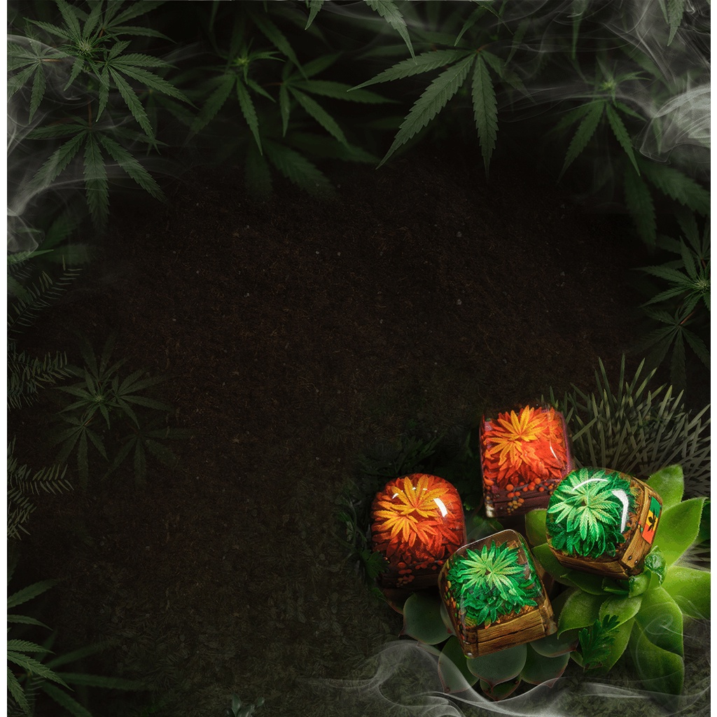 Phiên bản giới hạn Keycap  DF TERRARIUM DOM version
