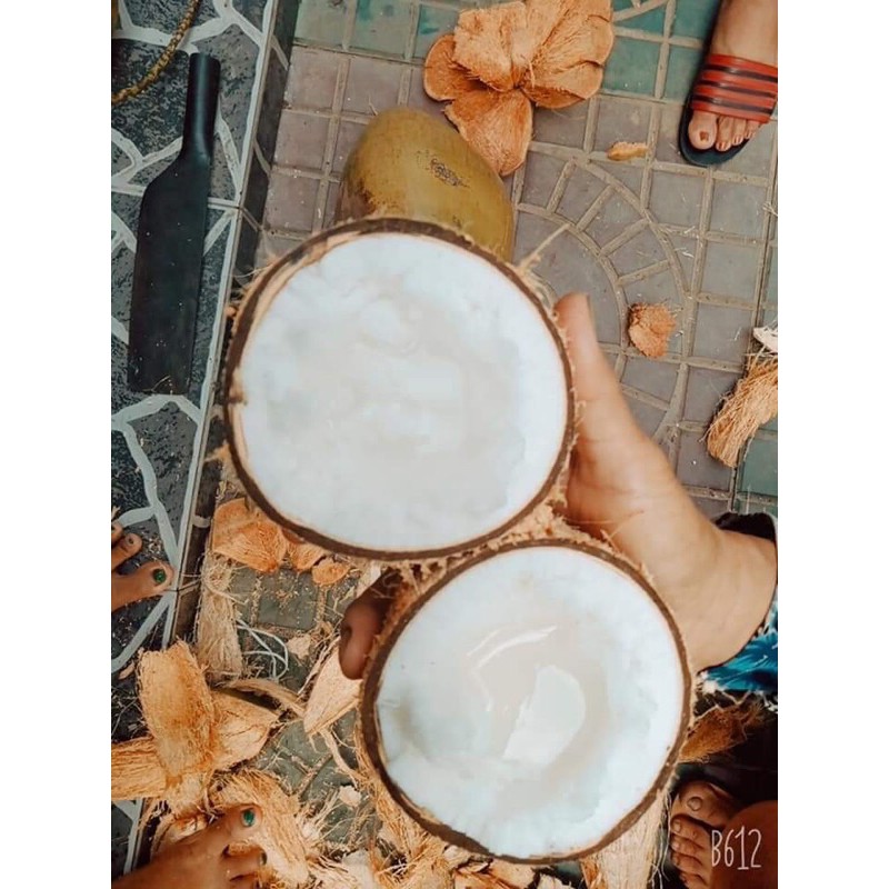 [Mã 267FMCGSALE giảm 8% đơn 500K] Dừa Sáp Đặc Biệt - Size Nhỏ Dùng Thử - Cơm Siêu Dày - Tee & Mee | BigBuy360 - bigbuy360.vn