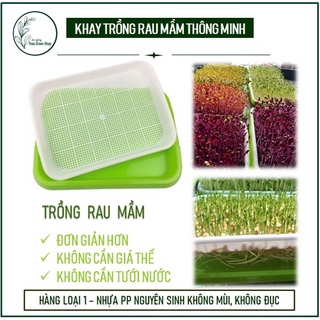 Khay Trồng Rau Mầm, Giá Đỗ Thủy Canh Loại Dày
