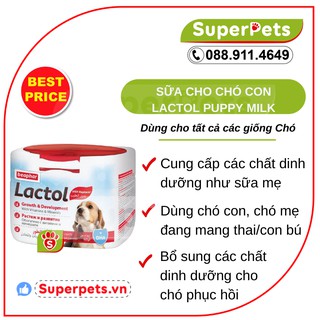 Sữa cho chó con beaphar lactol puppy milk superpets việt nam