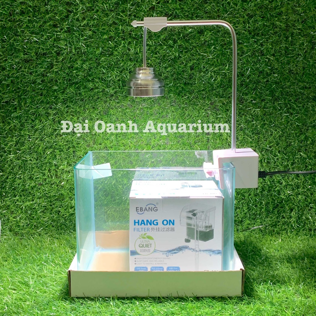 Bộ Bể Cá Kính Đúc 20cm Mini Để Bàn - Bể Cá Cảnh Mini