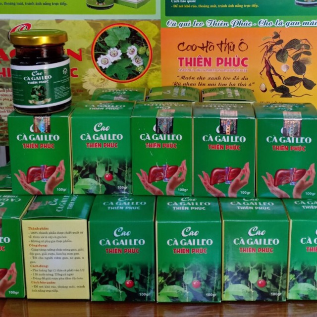 Cao cà gai leo 100g