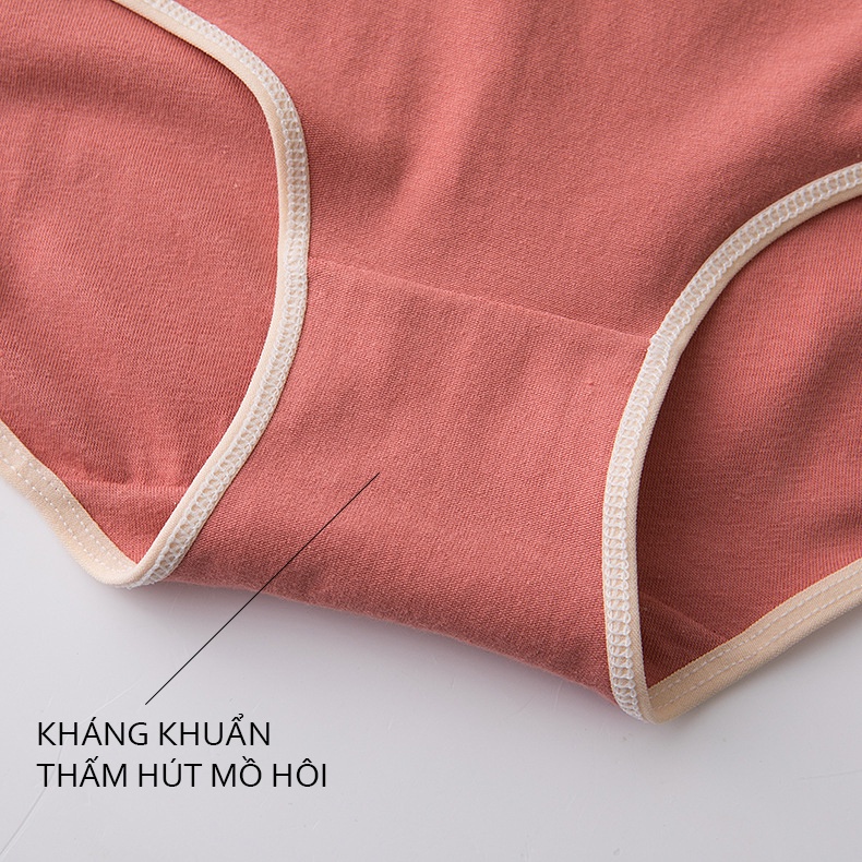 Quần lót cute nữ cotton trơn kháng khuẩn Happy Girl 329