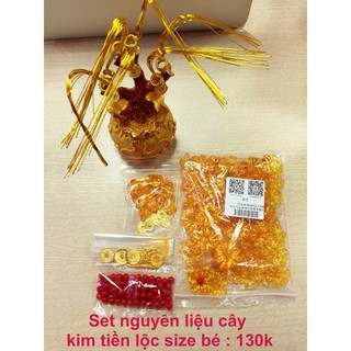 Combo 2 set nguyên liệu cây kim tiền size nhỏ gốc túi tiền