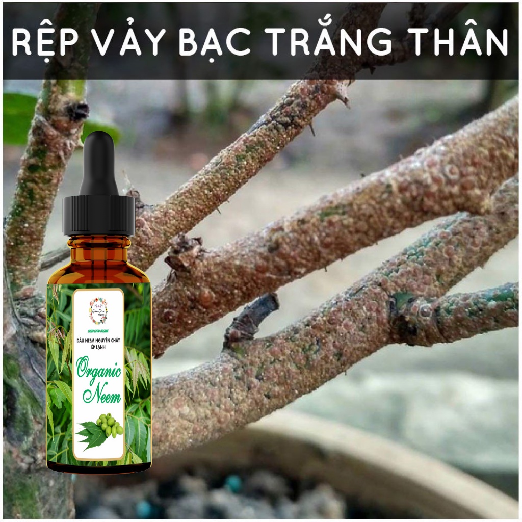 Tinh dầu Neem oil Green Grow Organic phòng trừ sâu bệnh bọ trĩ nhện đỏ nấm lá cho Hoa Hồng và các loại hoa kiểng MS185
