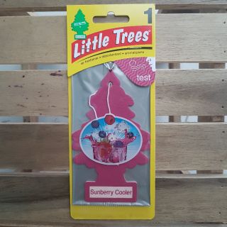 Cây thông thơm little trees mỹ