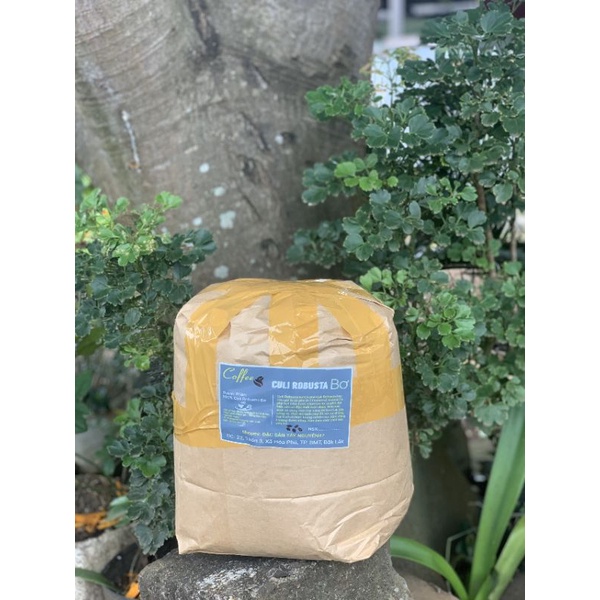 Combo 5kg Cà phê Culi Robusta