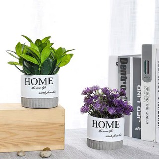 Chậu Hoa Giả HOME Trang Trí Nhà Cửa Xinh Xắn [CÓ SẴN]