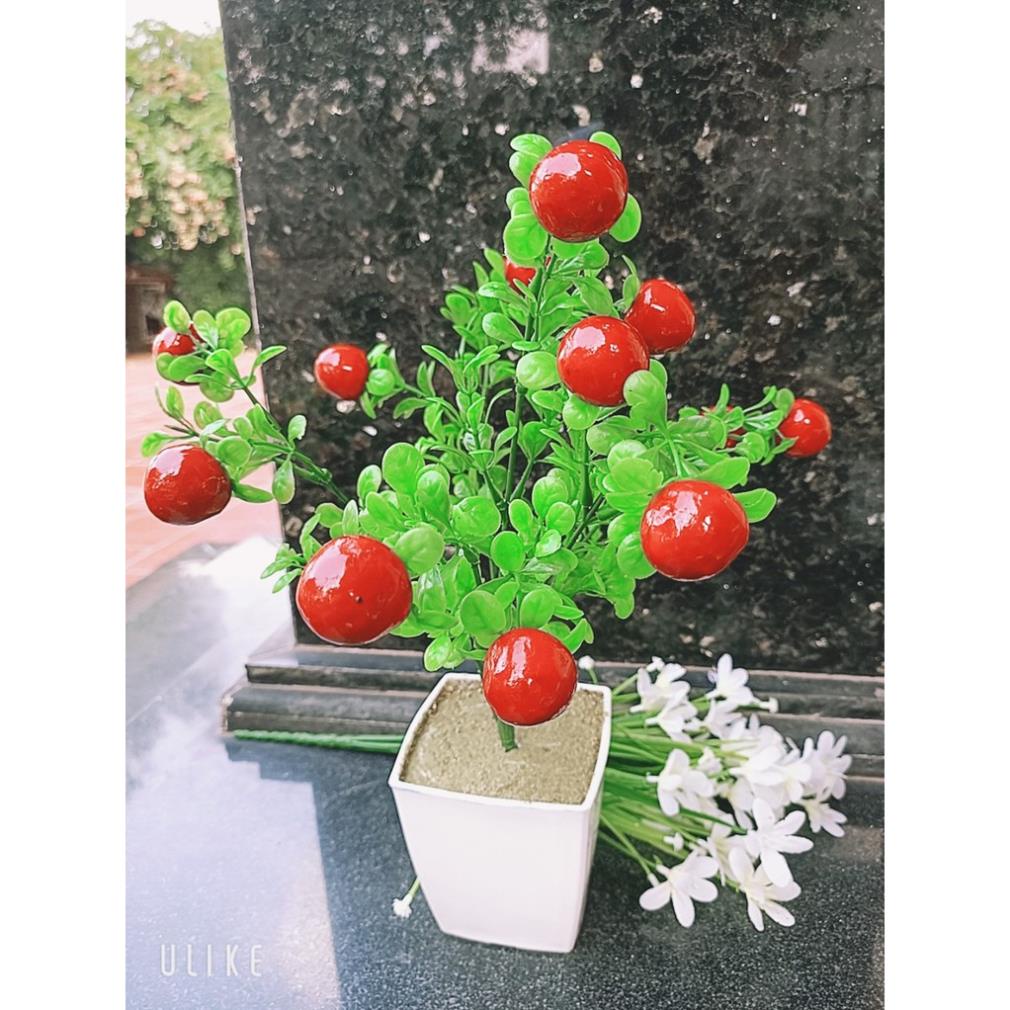 Chậu cây quả giả trang trí decor siêu xịnh ạ