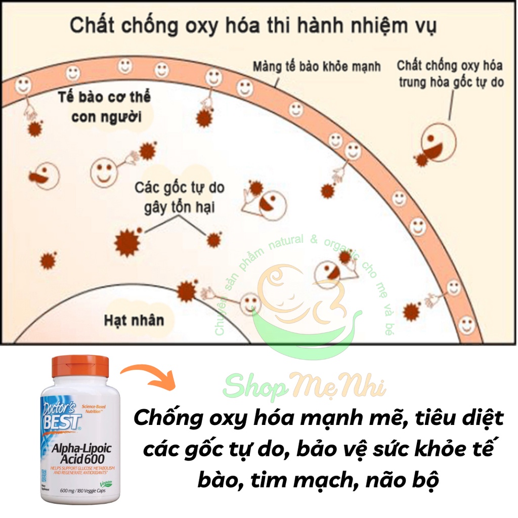 Viên uống chống lão hóa Dr Best  Doctor's Best Alpha Lipoic Acid 600mg 180 viên 60 viên.