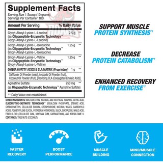 BPI BEST BCAA - HỖ TRỢ PHỤC HỒI CƠ BẮP (100 LẦN DÙNG)