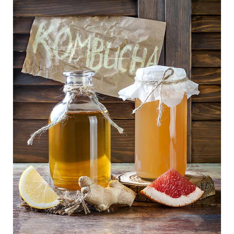 Trà lên men Kombucha 1 lít túi tiện lợi