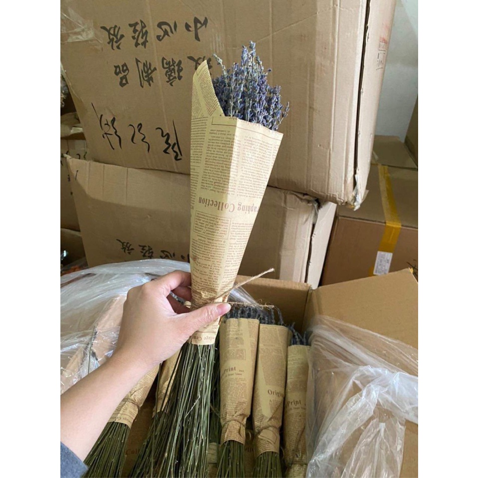 HOA OẢI HƯƠNG KHÔ NHẬP TỪ PHÁP, LAVENDER KHÔ THƠM NGÁT, HOA KHÔ BÓ LÀM QUÀ TẶNG, TRANG TRÍ DECOR, THƠM PHÒNG, CHỐNG MUỖI