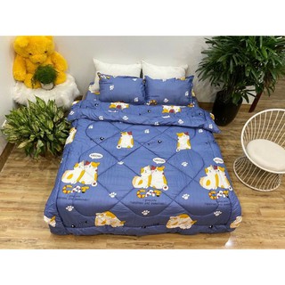 Trọn bộ 5 món chăn phao poly cotton